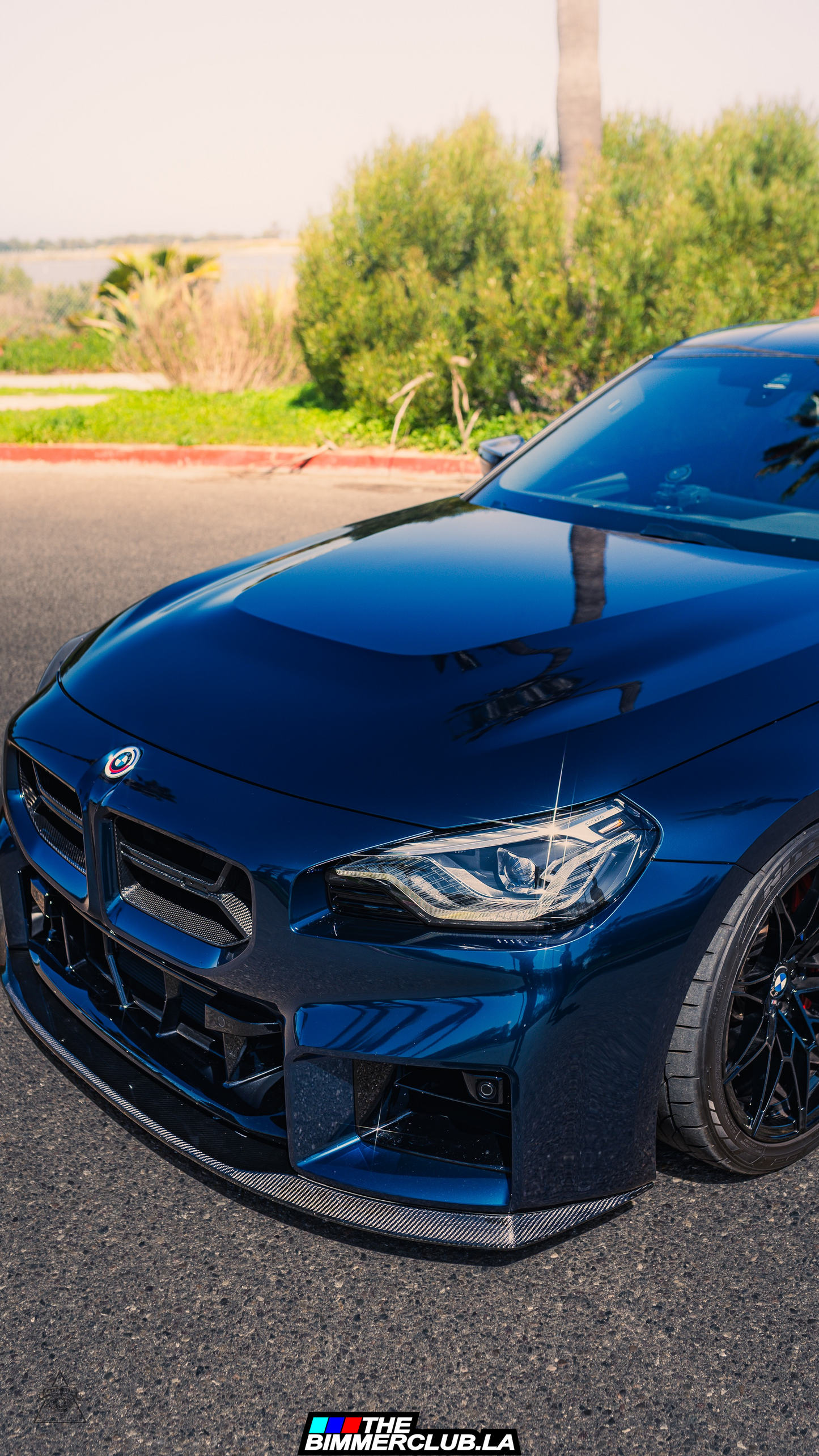 G87 M2 CSL Style Dry Carbon Fiber Grilles