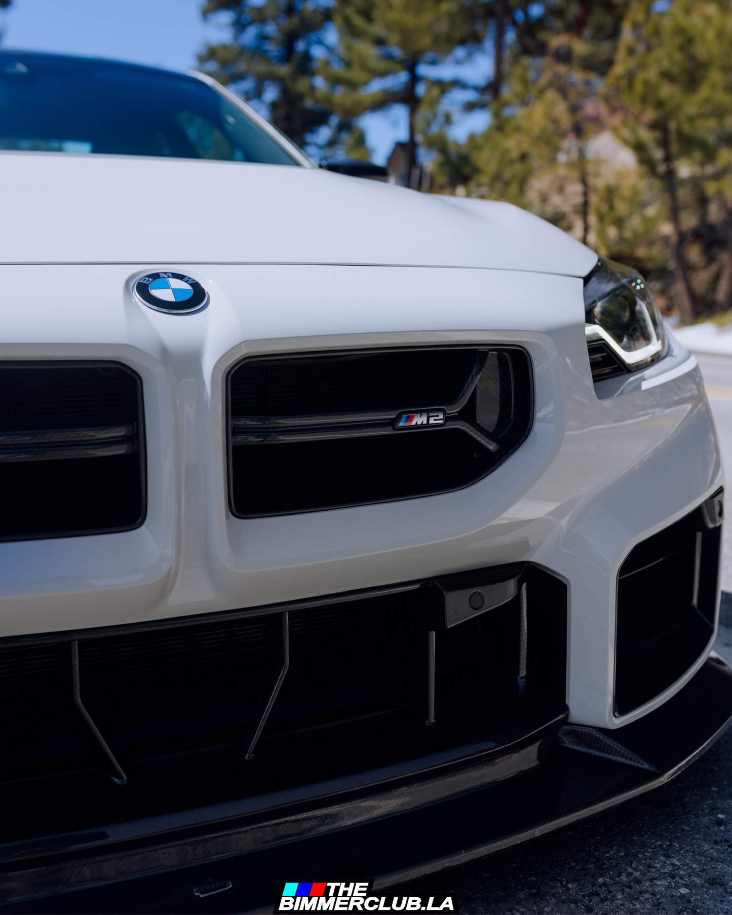 G87 M2 CSL Style Dry Carbon Fiber Grilles