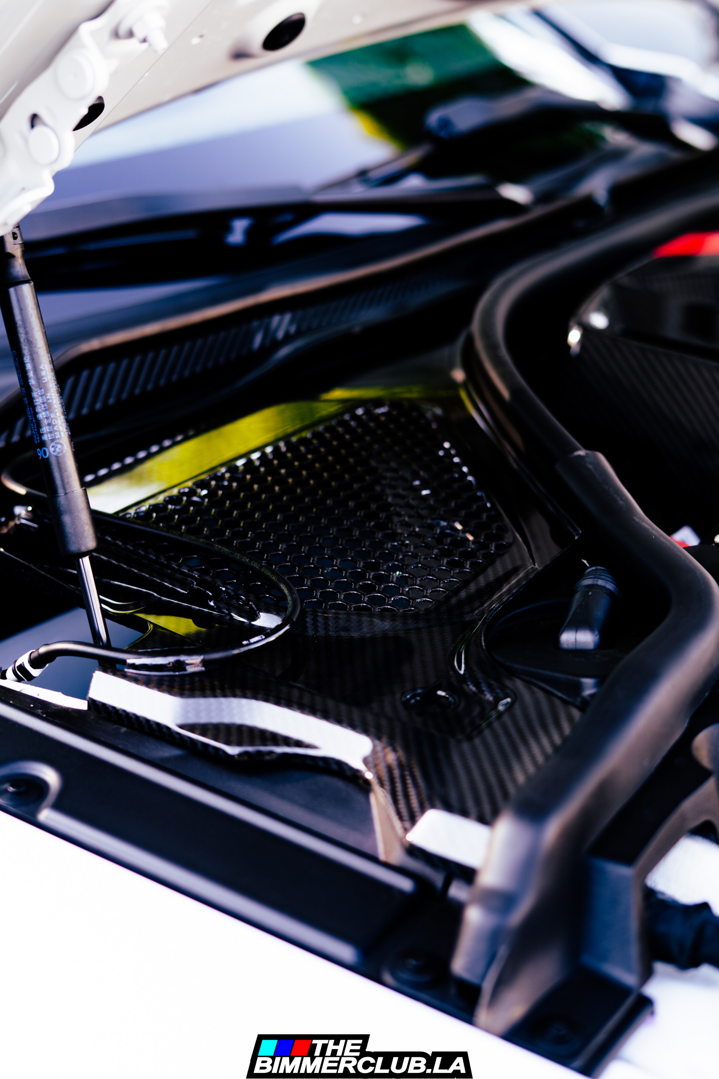 G8x M2 / M3 / M4 Dry Carbon Fiber Cowl Panel Replacement Set