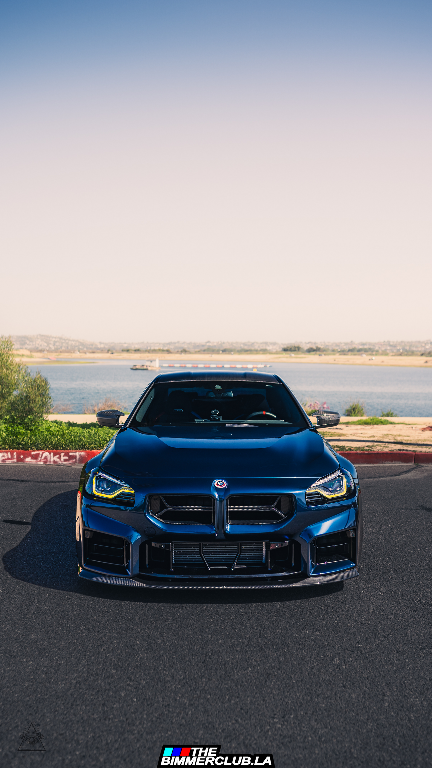G87 M2 CSL Style Dry Carbon Fiber Grilles