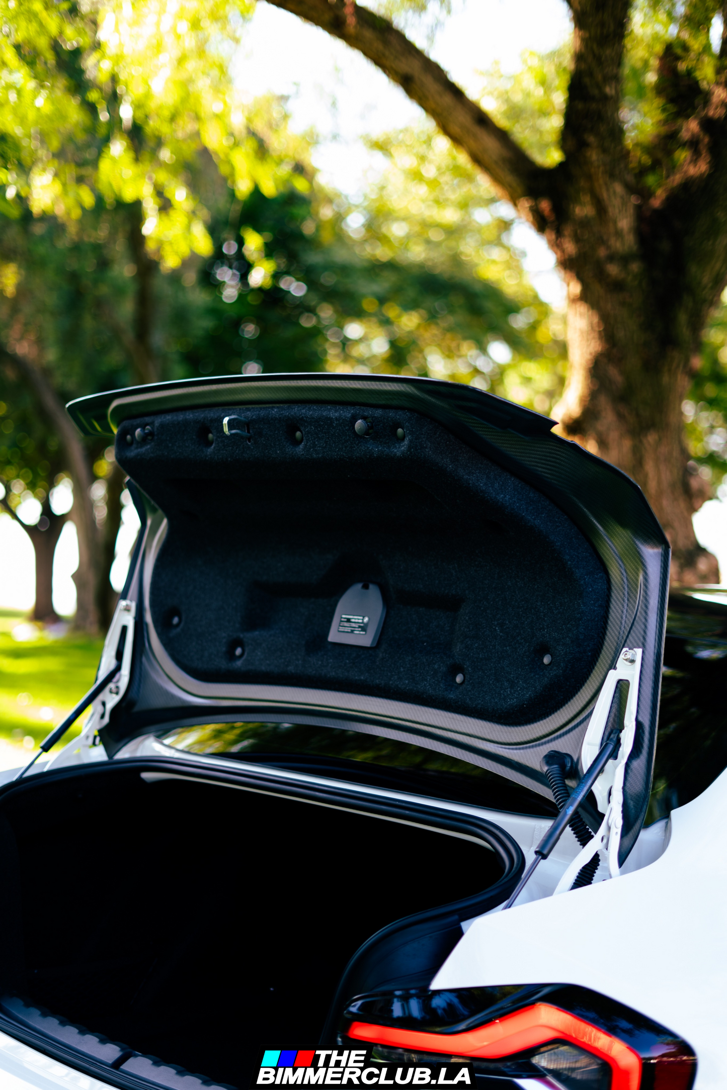 G87 M2 CSL Style Dry Carbon Fiber Trunk