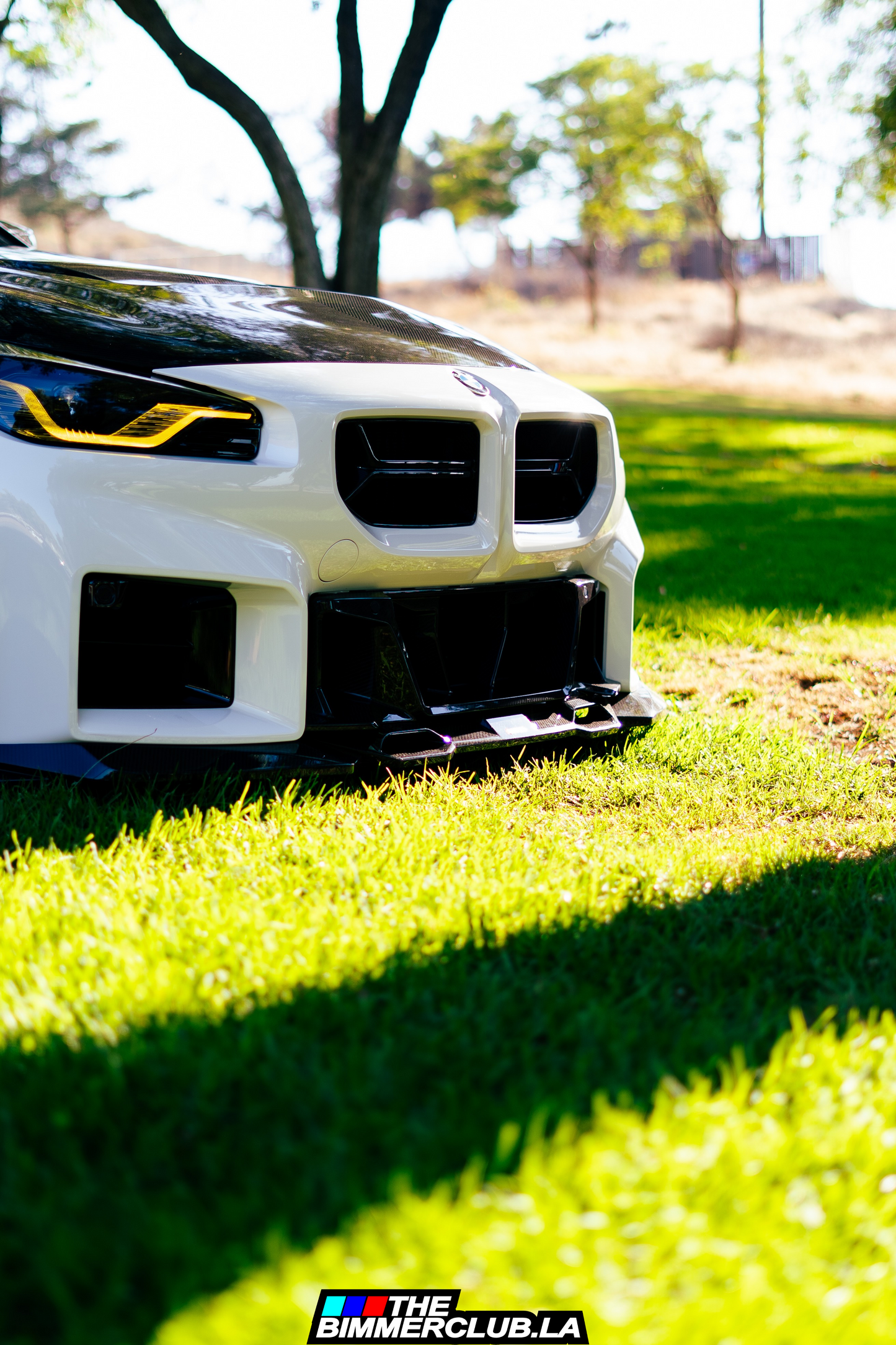G87 M2 SQ Style Dry Carbon Fiber Lower Bumper Grille