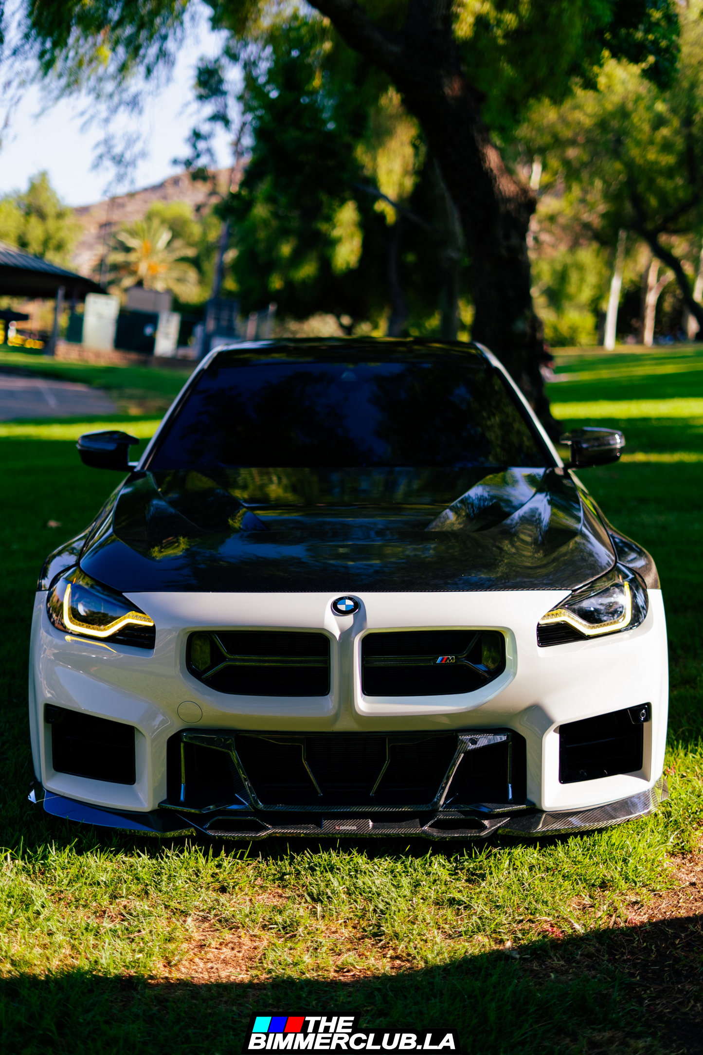 G87 M2 SQ Style Dry Carbon Fiber Lower Bumper Grille