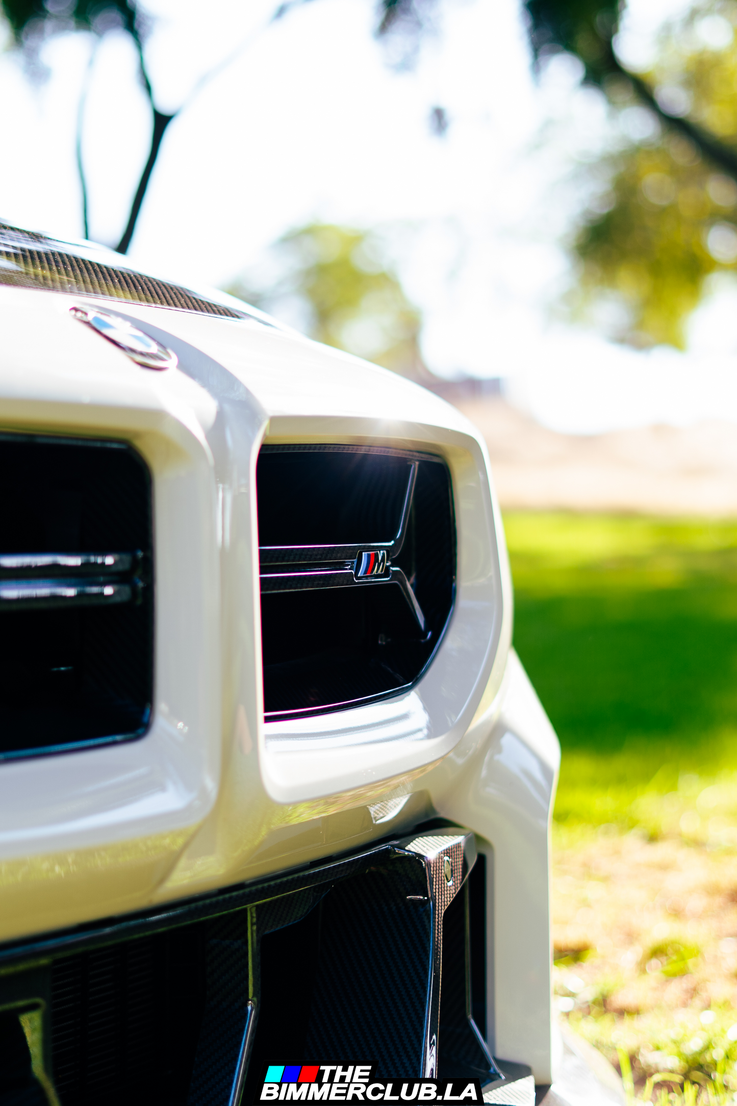 G87 M2 SQ Style Dry Carbon Fiber Lower Bumper Grille