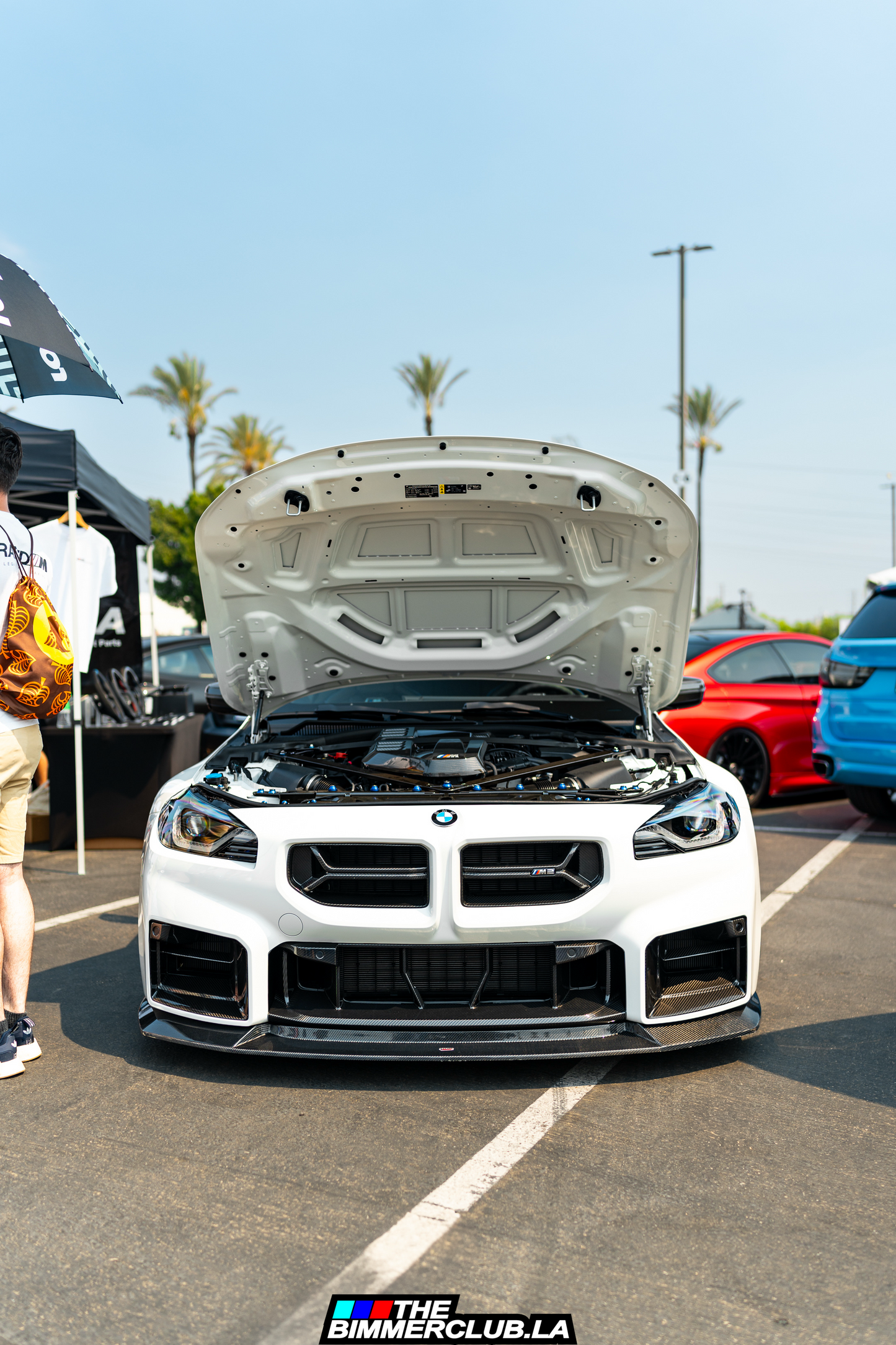 G87 M2 CSL Style Dry Carbon Fiber Grilles