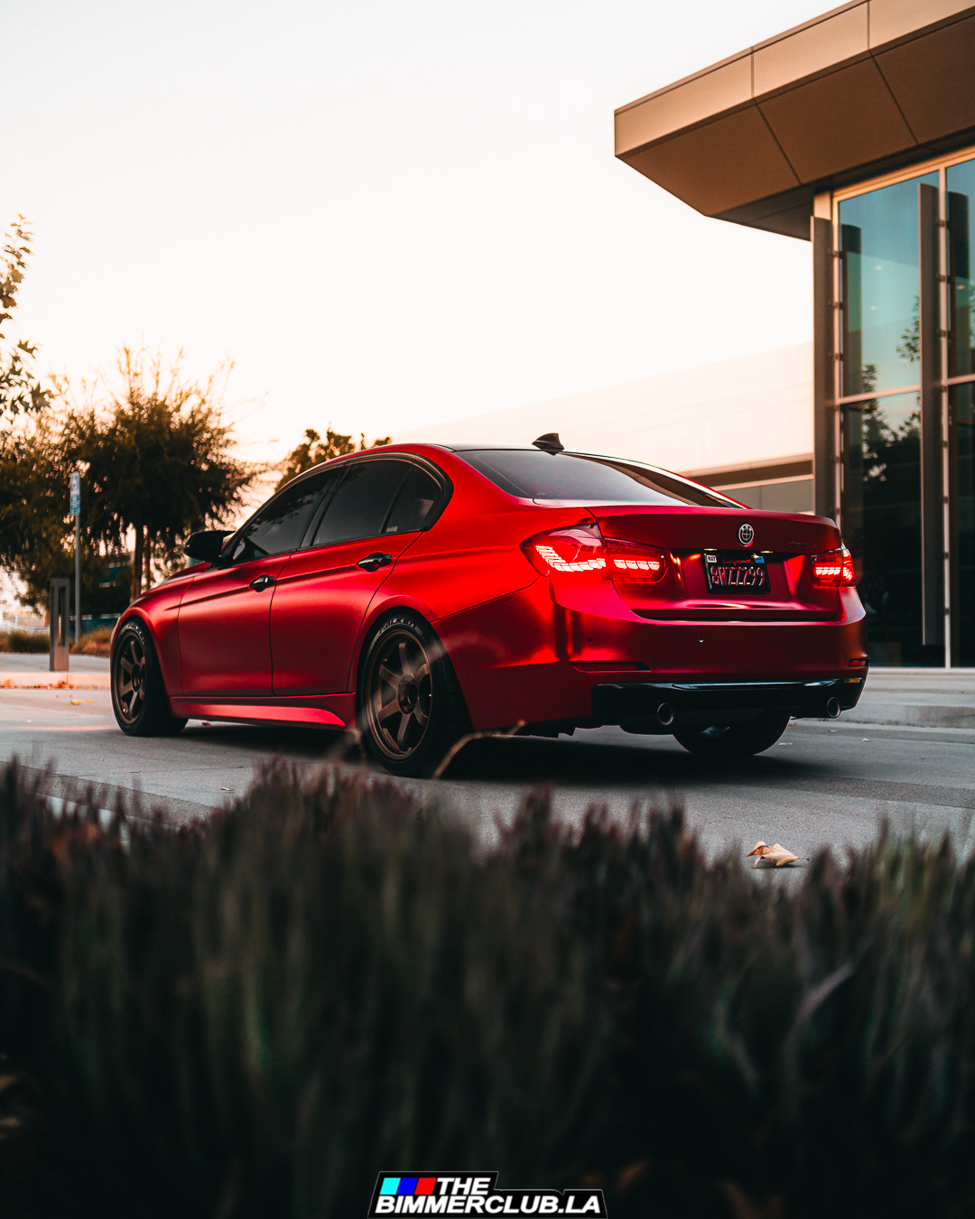 F30 / F80 GTS OLED Style Tail Lights