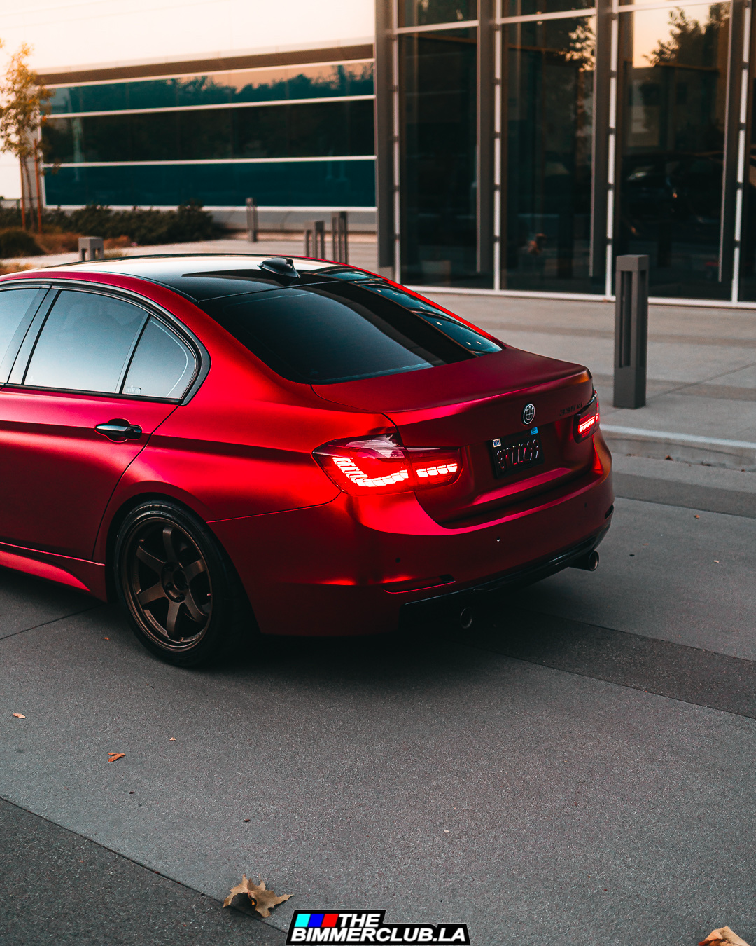 F30 / F80 GTS OLED Style Tail Lights