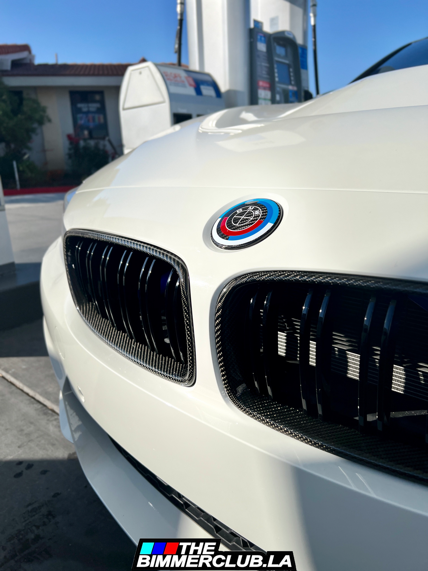 Carbon Fiber F8x Style Grilles