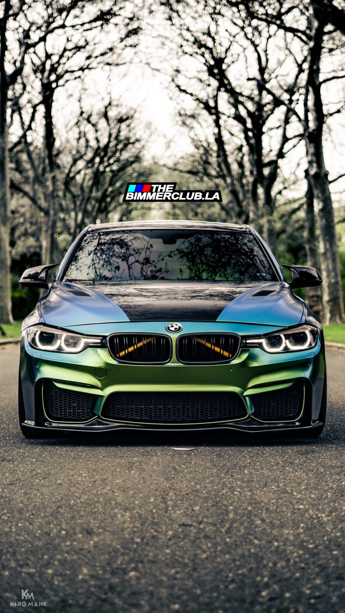 F3X R1 Carbon Fiber Front Lip (F8x Bumper)